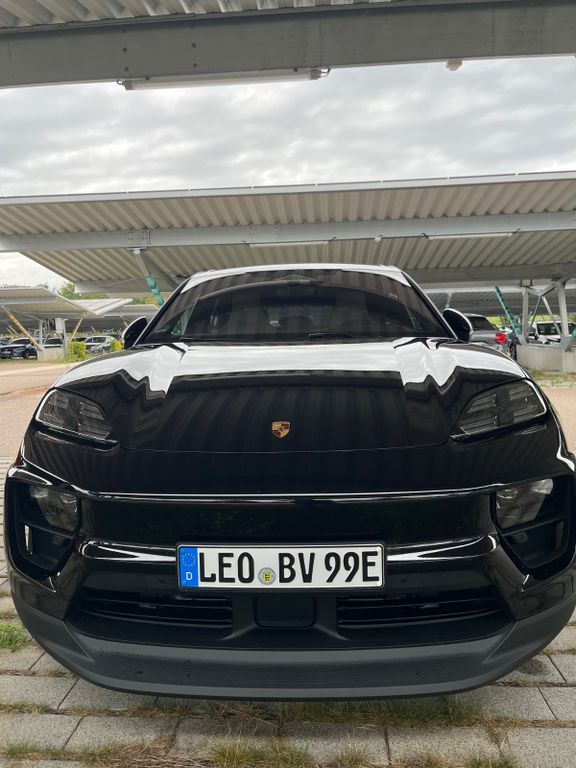 Macan