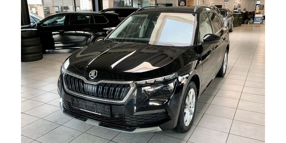 Skoda Kamiq 79.500 km 22.870 &euro; Stuttgart 70439