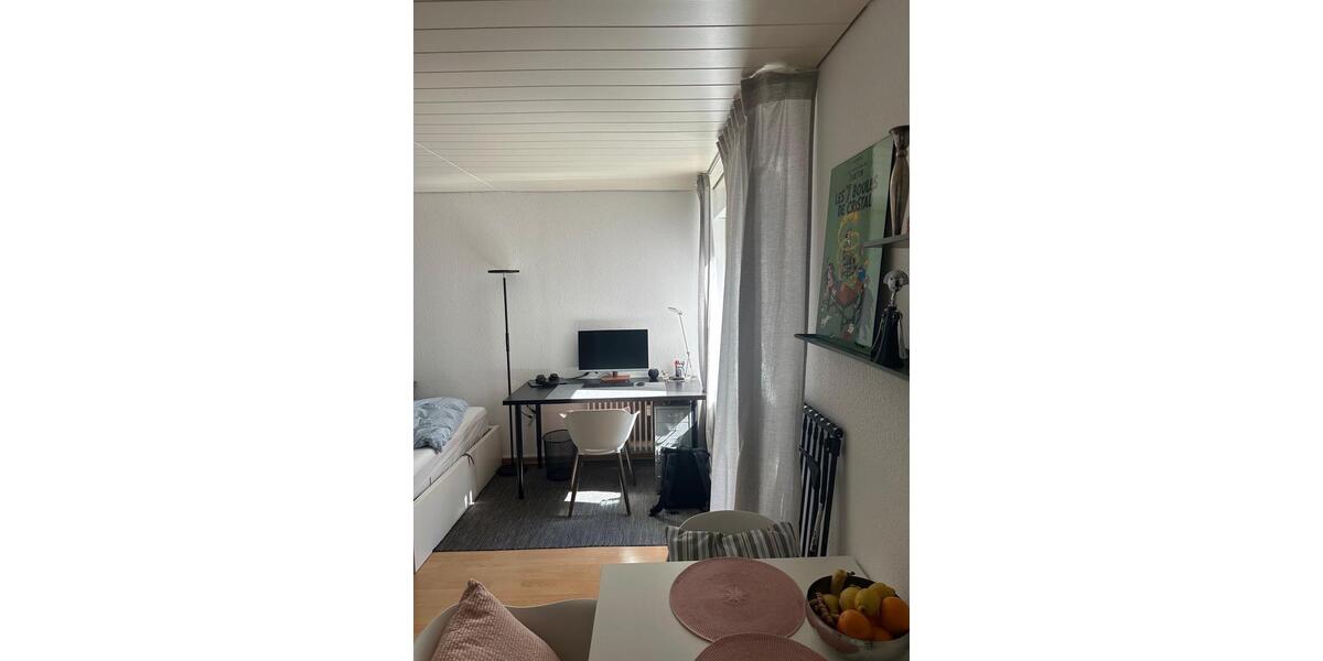 1 Zimmer Wohnung mi Balkon zimmer