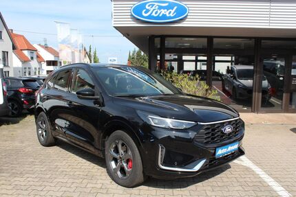 Ford Kuga 2.000 km 42.250 € Filderstadt 70794