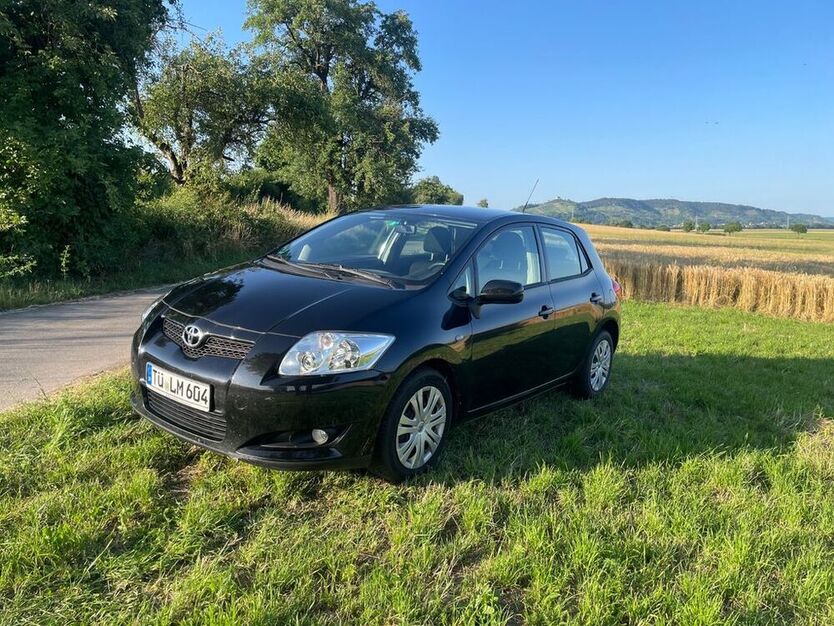 Auris