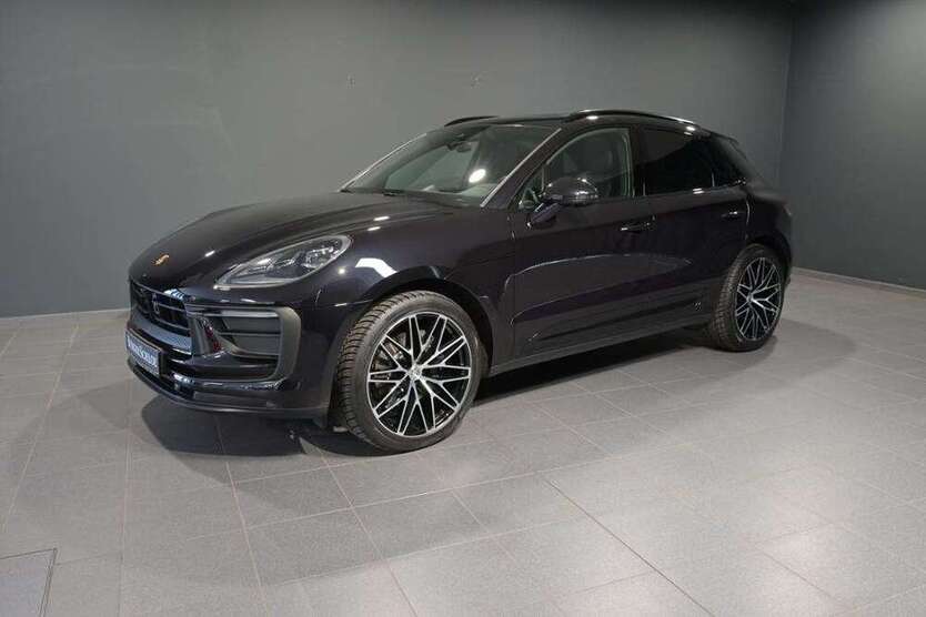 Macan