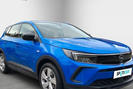 Opel Grandland (X) 55.000 km 21.800 &euro; Wildberg 72218
