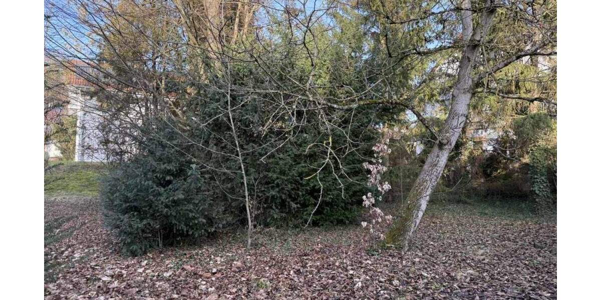 Grundstück Herrenberg - 1.450.000&euro; | Angebot:24596650