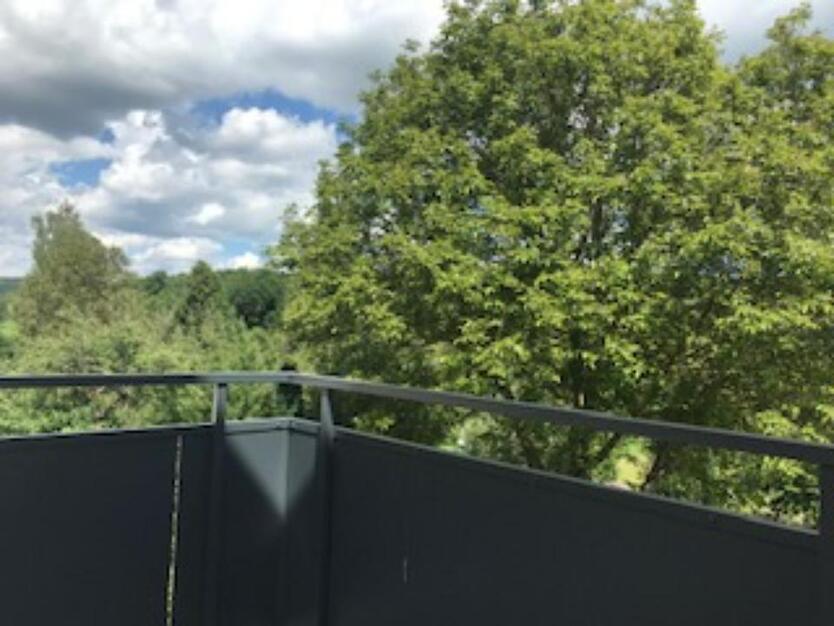 4-5 Zimmerwohnung zimmer