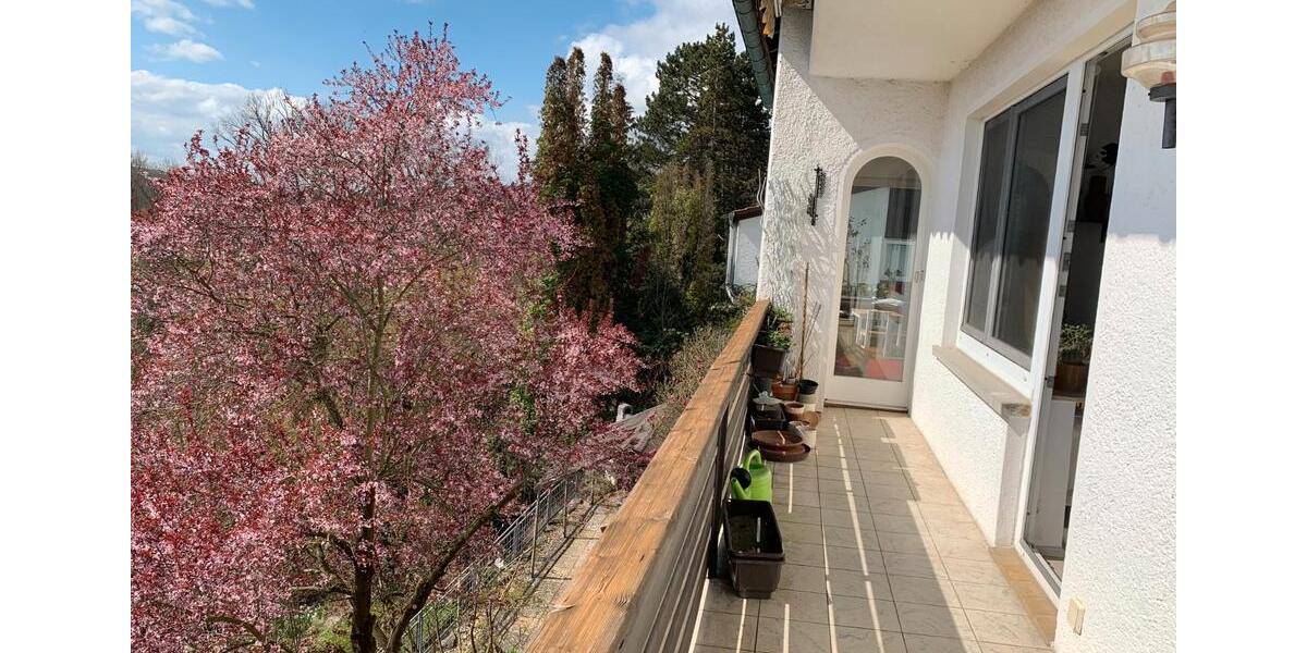 Erdgeschoßwohnung Vaihingen an der Enz - 3.5 Zimmer, 113 m&sup2;, 1.050&euro; | Angebot:25995946