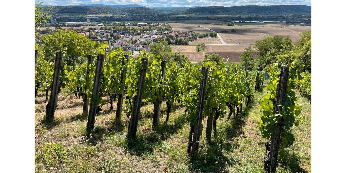 Grundstück Tübingen - 55.000&euro; | Angebot:24101823