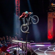 Herrenberger Weihnachtscircus 18.12.2026 Festwiese am Jahnweg