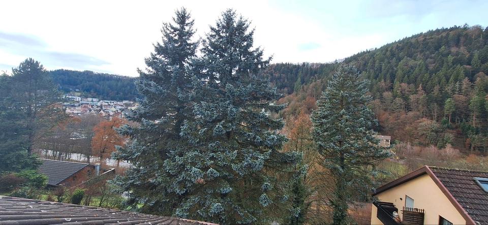 Dachgeschoßwohnung Bad Liebenzell - 2 Zimmer, 59 m&sup2;, 158.000&euro; | Angebot:24274597