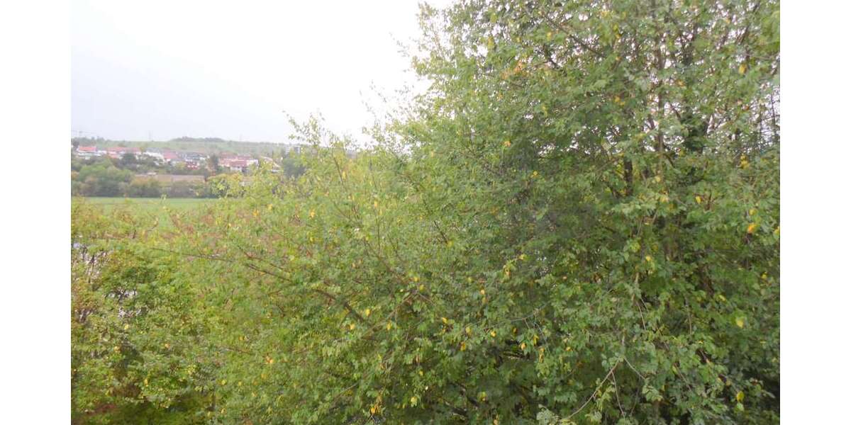 Etagenwohnung Pliezhausen - 3 Zimmer, 86 m&sup2;, 985&euro; | Angebot:27646897