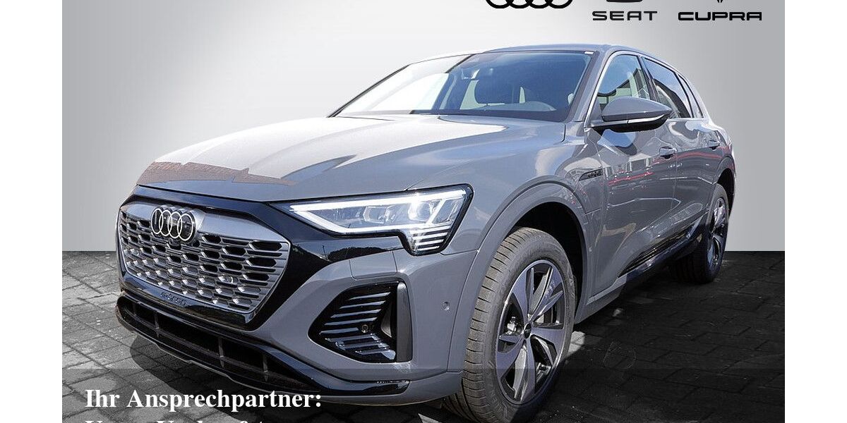 Audi Q8 e-tron 9.500 km 47.970 &euro; Bietigheim-Bissingen 74321