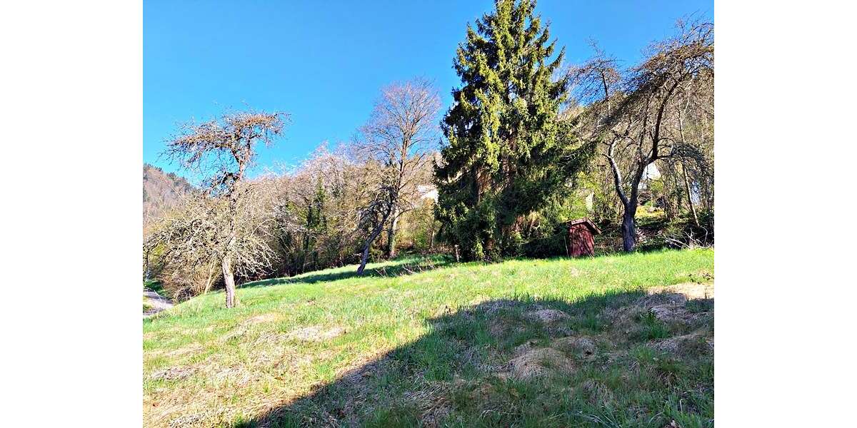 Grundstück Calw-Hirsau Hirsau - 173.000&euro; | Angebot:24116739