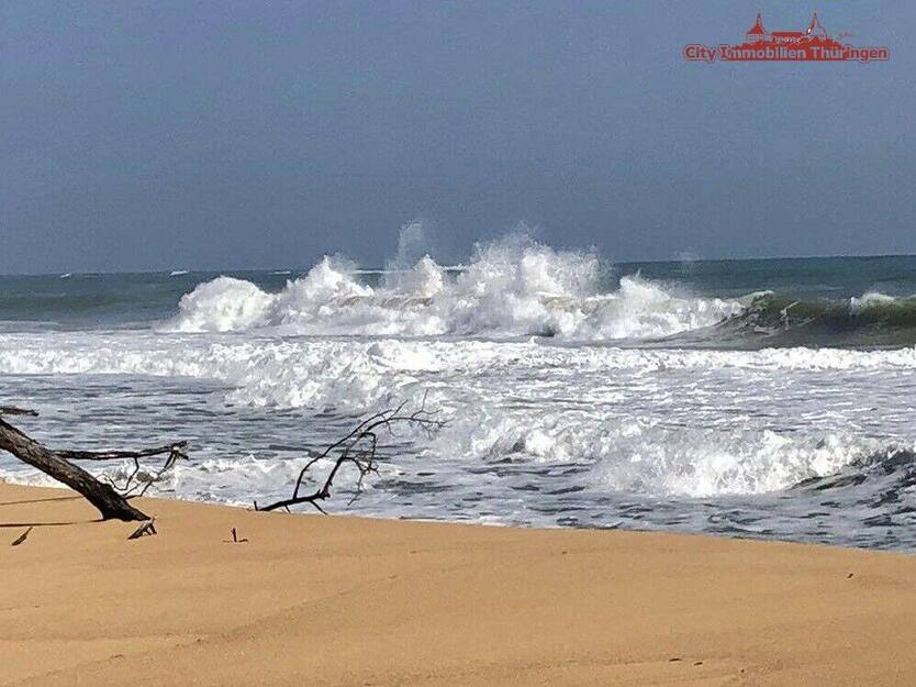 Grundstück in Costa Rica in einer der blauen Zonen der Erde zimmer
