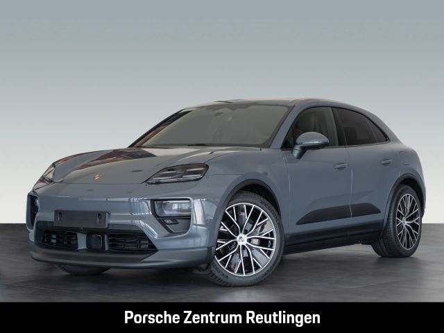 Macan