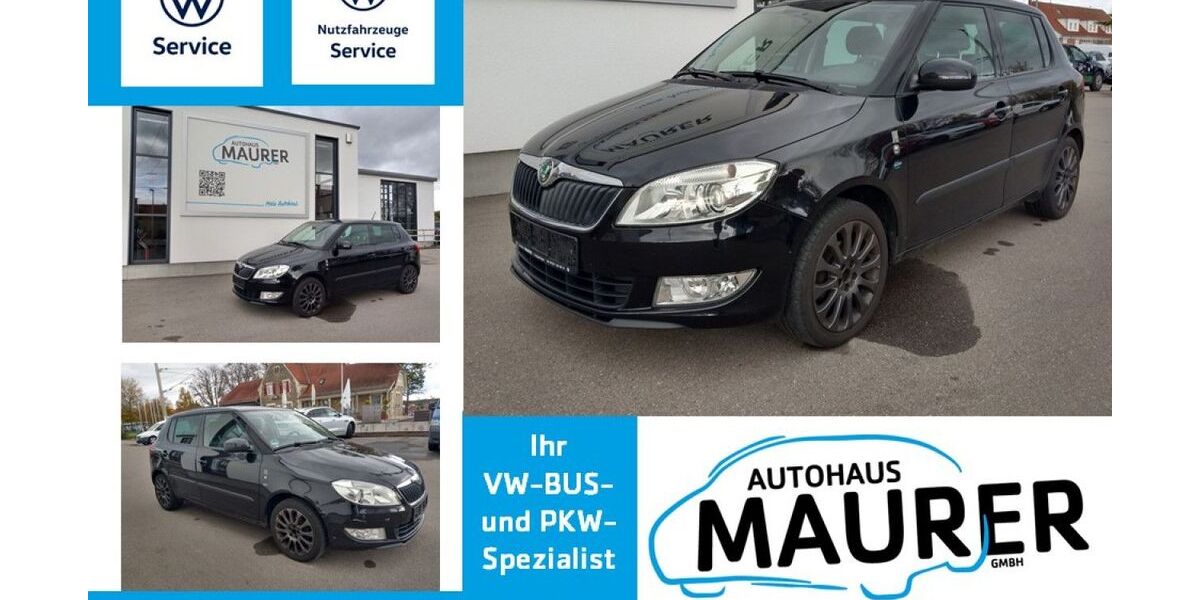 Skoda Fabia 150.500 km 5.490 &euro; Holzgerlingen 71088