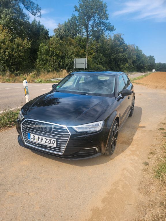 A3