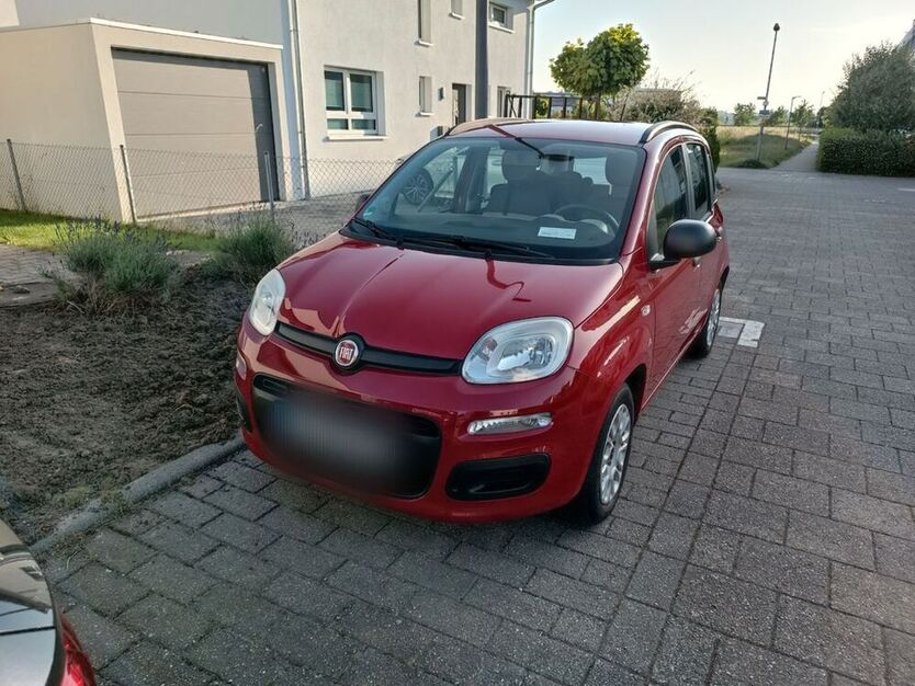 Panda