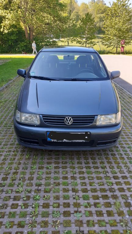 Polo