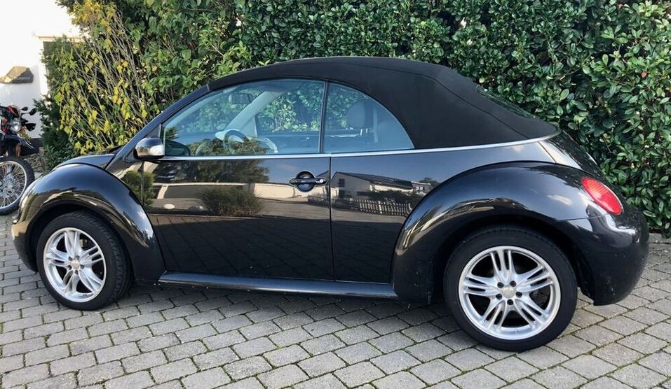 Beetle