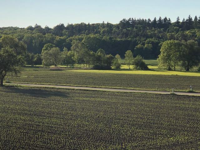 Gewerbeobjekt Leonberg - 450&euro; | Angebot:25861637