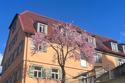 Wohnung Schwieberdingen - 2 Zimmer, 81 m&sup2;, 1.290&euro; | Angebot:26458261