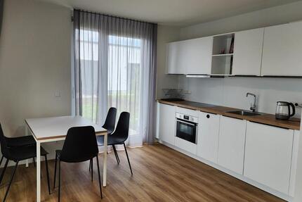 Wohnung Tübingen Derendingen - 2 Zimmer, 41 m&sup2;, 1.145&euro; | Angebot:26222380