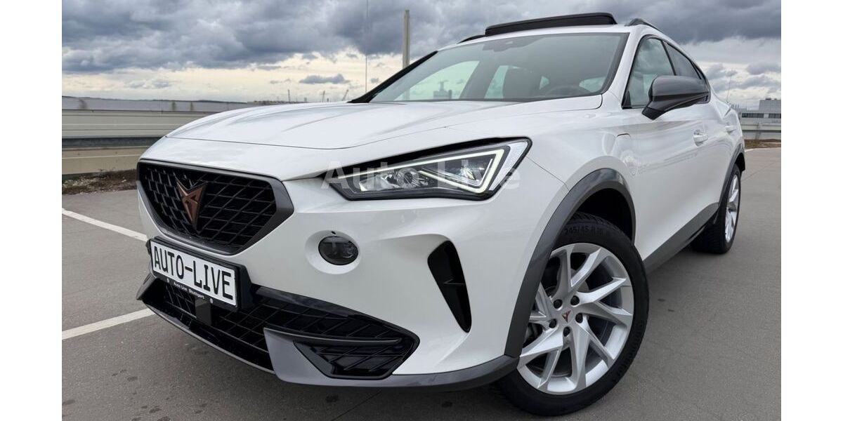 Cupra Formentor 24.500 km 24.990 &euro; Böblingen/Stuttgart 71034