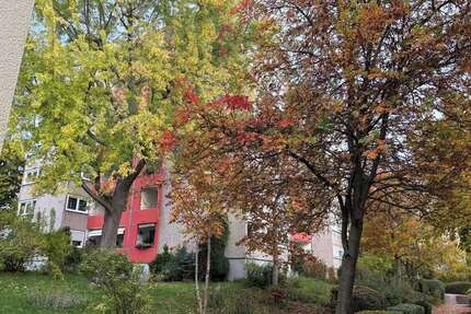 Wohnung Ditzingen - 3 Zimmer, 78 m&sup2;, 229.000&euro; | Angebot:25143159