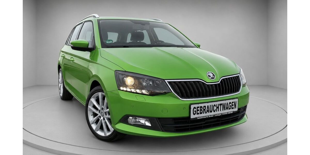 Skoda Fabia 90.750 km 11.799 &euro; Jettingen 71131