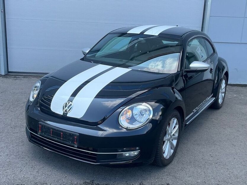 Beetle