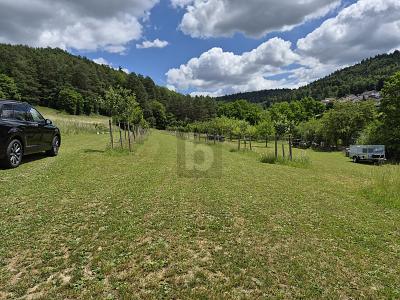 NATURIDYLLE TRIFFT AUF HÖCHSTEN WOHNKOMFORT - Einfamilienhaus Nagold | Angebot:26802465