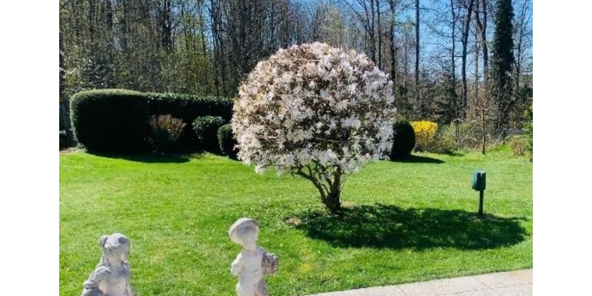 Erdgeschoßwohnung Pforzheim Eutingen - 2 Zimmer, 46 m&sup2;, 389&euro; | Angebot:24474937