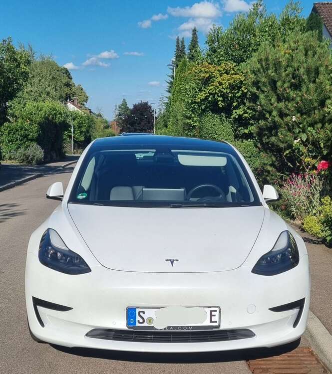 Model 3