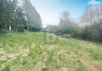 EINMALIGE NATURIDYLLE AM NATURSCHUTZGEBIET