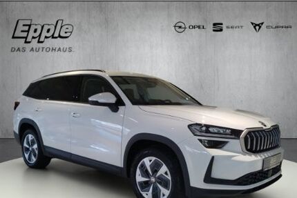 Skoda Kodiaq 24.190 km 39.790 &euro; Rutesheim 71277