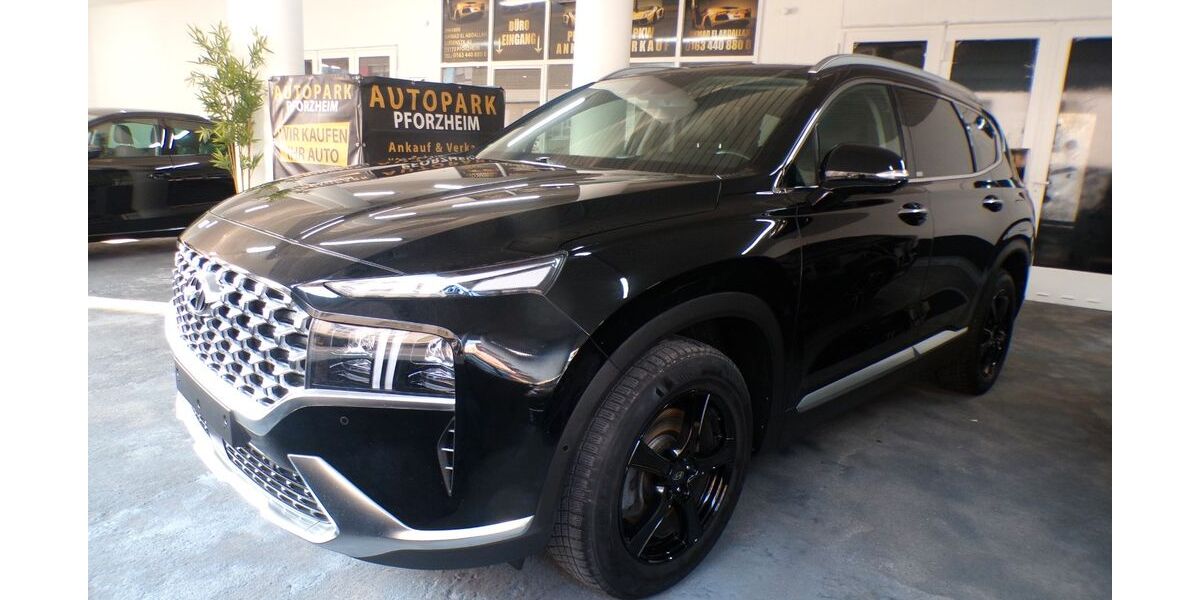 Hyundai SANTA FE 144.000 km 21.490 &euro; Pforzheim 75172