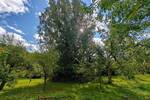 Obstwiese mit Hütte am Fuße der Achalm zu verkaufen