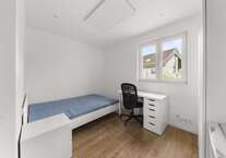 Wohnung zum Mieten in Zuffenhausen-Mitte 540 € 13.5 m²
