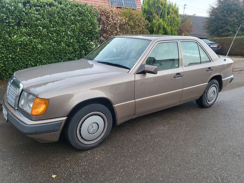 230