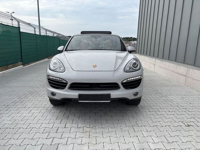 Cayenne
