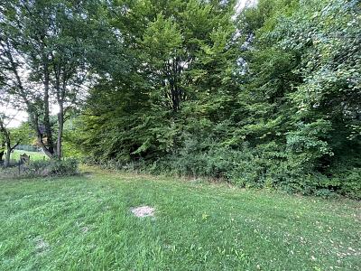 VIELSEITIGES ANWESEN - IDEEN OHNE GRENZEN - Grundstück Steinenbronn | Angebot:27259808