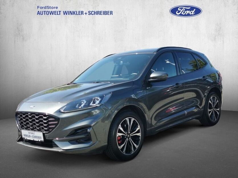 Kuga