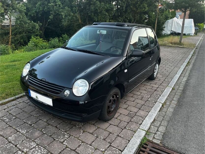Lupo
