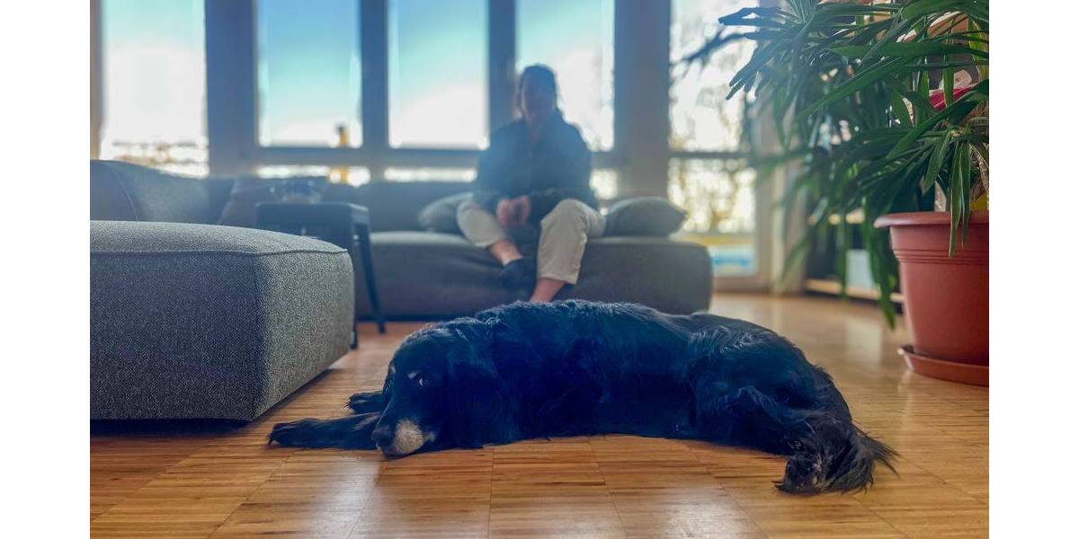 Gewerbeobjekt Sindelfingen Darmsheim - 450&euro; | Angebot:26249673