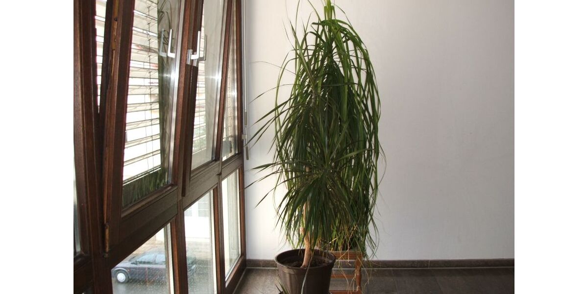 Eine besonders schöne Dachgeschosswohnung für eine Person - Appartement Stuttgart Feuerbach | Angebot:27649208