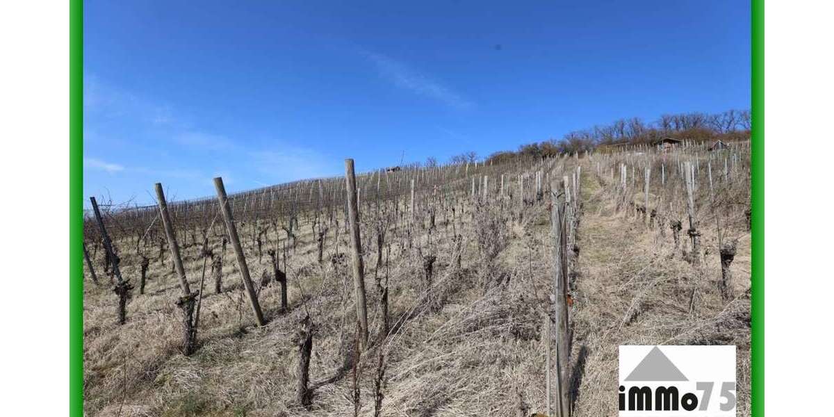 Grundstück Mühlacker - 9.500&euro; | Angebot:19745703