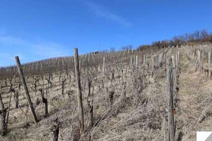 Grundstück zu verkaufen in Mühlacker 9.500 € 1800 m² zimmer