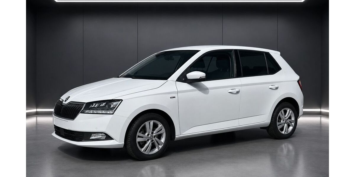 Skoda Fabia 94.000 km 11.299 &euro; Jettingen 71131