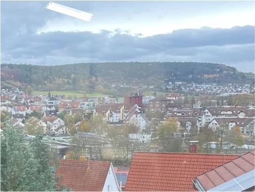 2- Zimmer Wohnung über den Dächern von Weil der Stadt zimmer