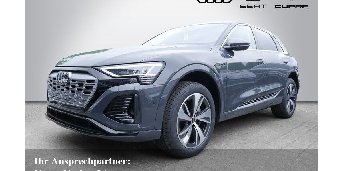 Audi Q8 e-tron 8.500 km 47.430 &euro; Bietigheim-Bissingen 74321